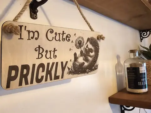 Hedgehog Plaque Decorative Sign With Funny Quote