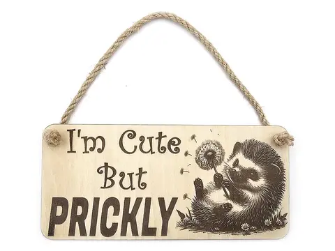 Hedgehog Plaque Decorative Sign With Funny Quote