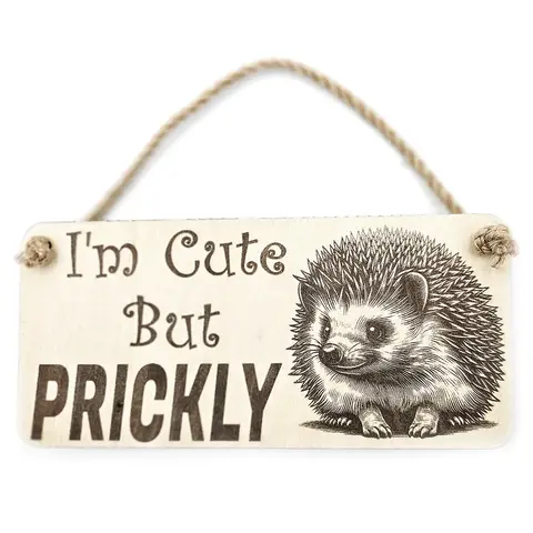 Cute Hedgehog Decorative Sign | Plaque | Wall or Desk Mount With Humorous Quote
