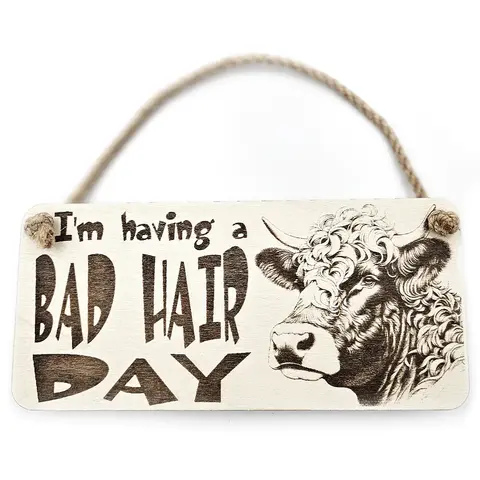 Bad Hair Day funny wall sign with highland cow messy hair image