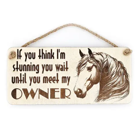 Beautiful Horse Decorative Sign | Plaque | With Cute Funny Saying