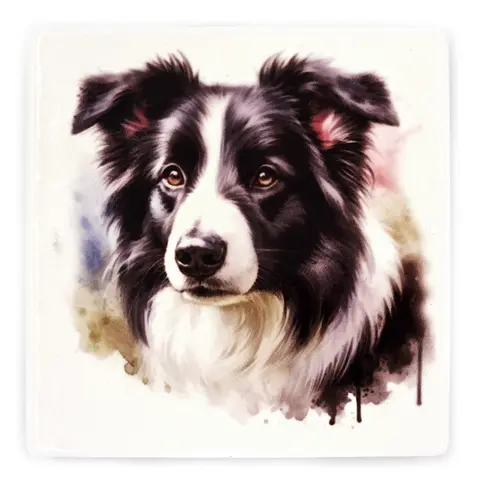 Border Collie Square Ceramic Coaster Gift Ideas for Pet Dog Owners