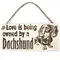 Dachshund Sign | Plaque | Personalised Option | Gifts