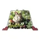 Rabbit Welcome Sign Modern Design With Colourful Picture