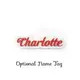 Turtle Keyring Novelty Bag Tag Charm