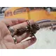 Highland Cow Keyring with Tassle and Clip
